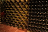 samnales/IMG_0316s.jpg